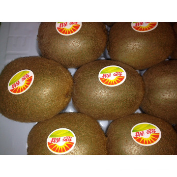 Fresh Juicy Kiwi Fruit Large Supplier